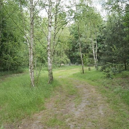 Camping Family Bronowice  Exteriér fotografie