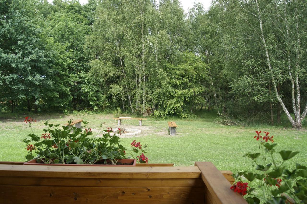 Camping Family Bronowice  Exteriér fotografie